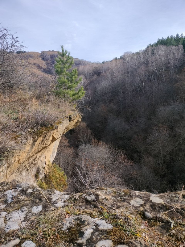 IMG_20231118_154335_684