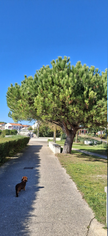 [Image: 20251011-154926.jpg]