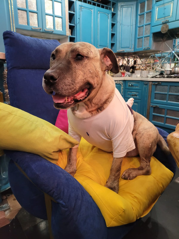 42C5688B-F9C6-4AF2-BE7A-D2B0F03167DB