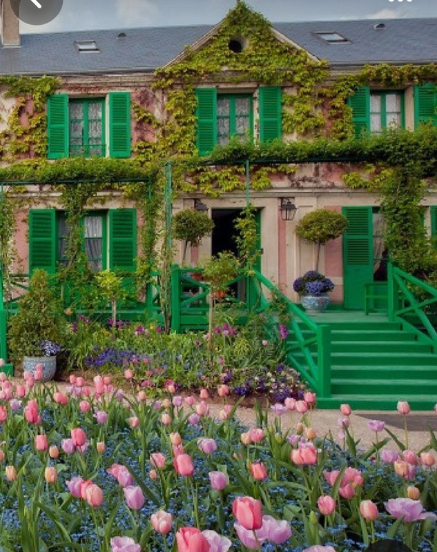 Screenshot_20240509_202018_Pinterest