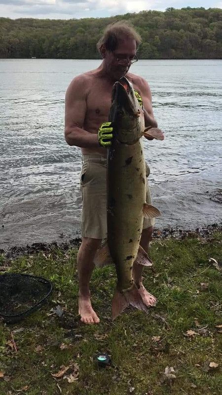 Possible PA record Musky caught
