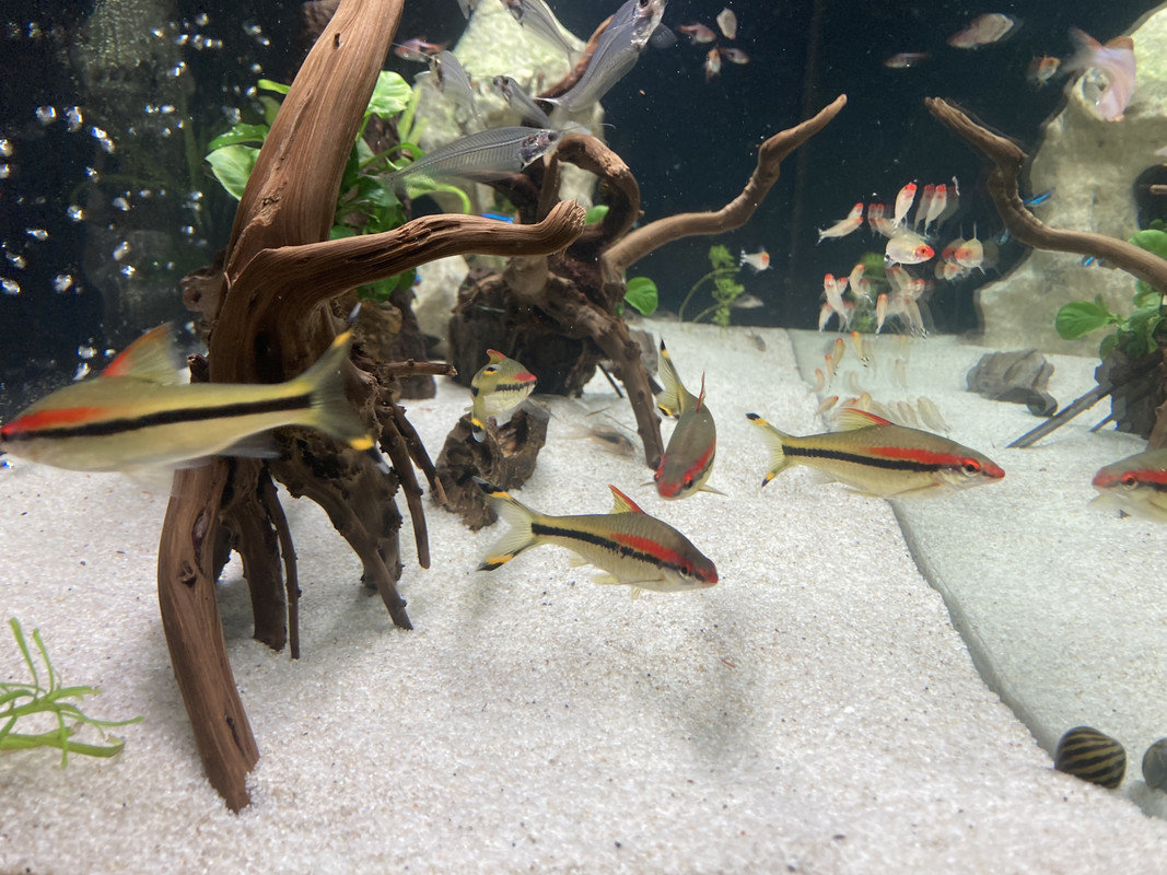 4F5AAED0-203A-449D-B497-B2C8B54D620D