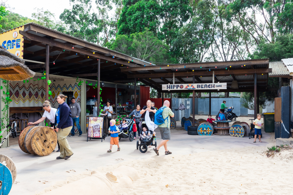 Melbourne Zoo, Melbourne How To Reach, Best Time & Tips