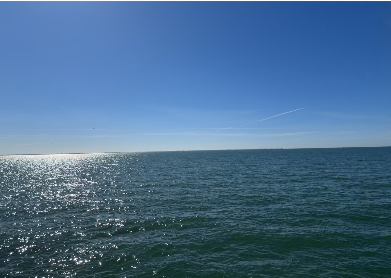 [Image: Skyway-Bridge-Water-Color.png]