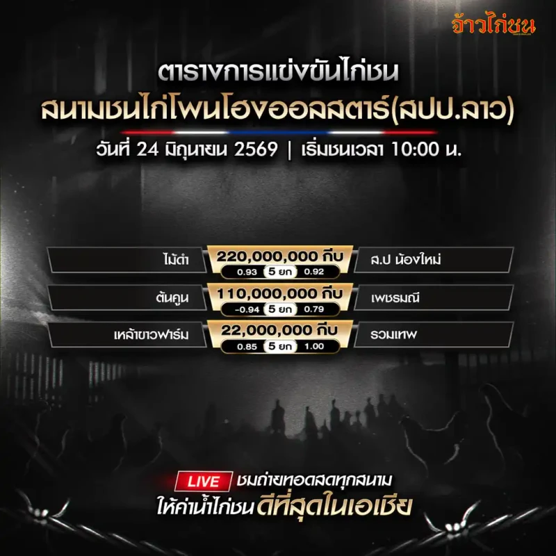 โปรแกรมไก่ชน สนามชนไก่โพนโฮงออลสตาร์ 24 มิถุนายน 2569 รูปโปรแกรมหลัก
