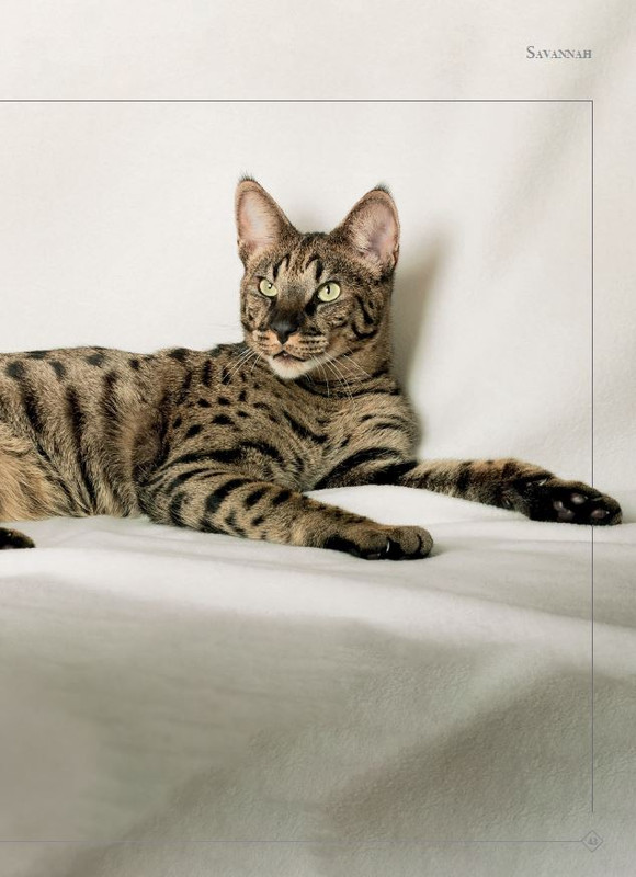 Argos Ago-Set 2023 (6)