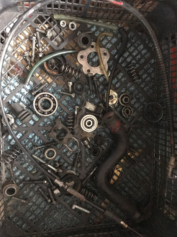 E15009F9-6F4D-410D-BEC1-436FF55E7CC0