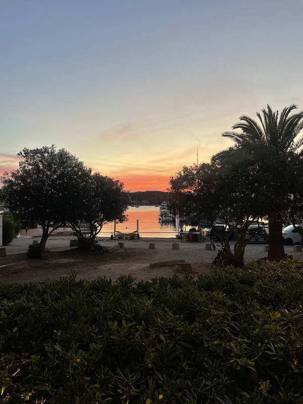 D11D1ABD-6234-43BB-BD26-51D3194FE63B