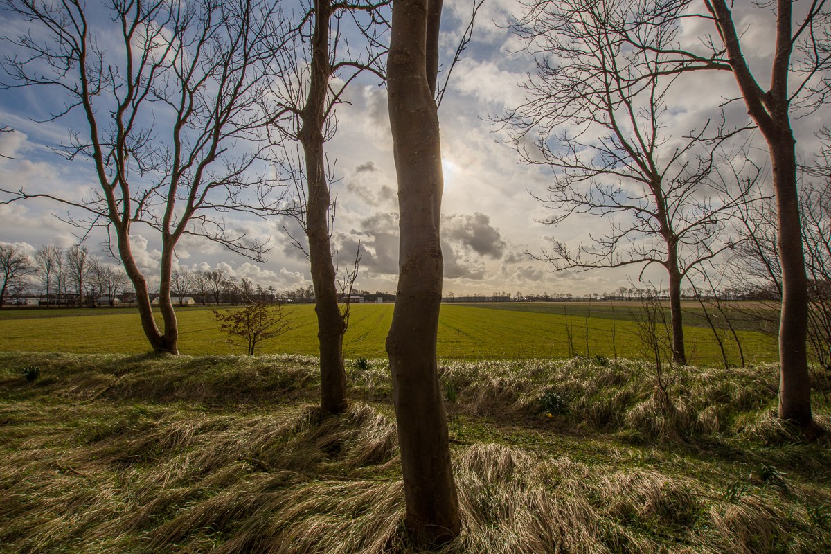 Fotografie