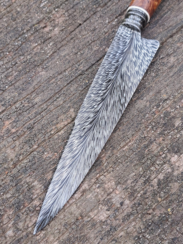 WhatsApp Image 2023-07-27 at 19.37.59 (1)