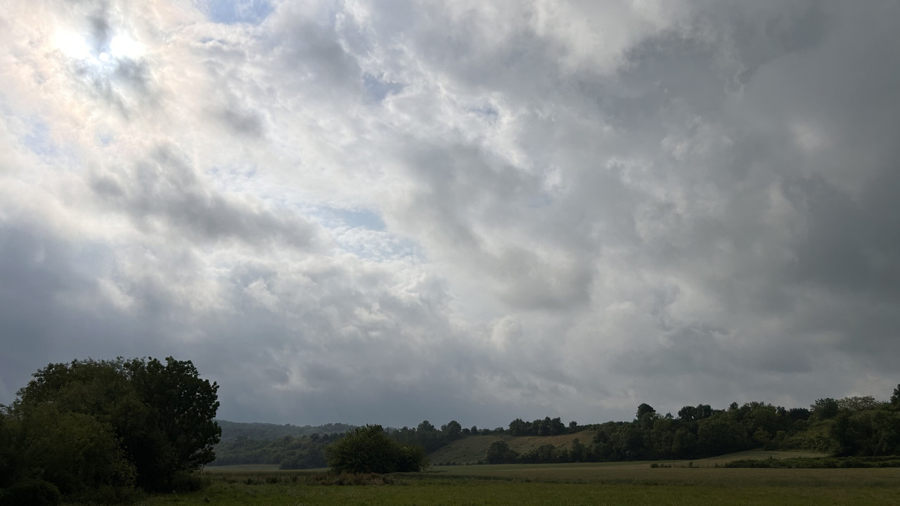 IMG-0995.jpg