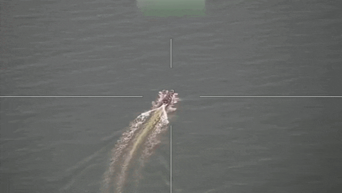 https://i.postimg.cc/J7xMgC3b/video-2026-07-18-17-08-40-(1).gif