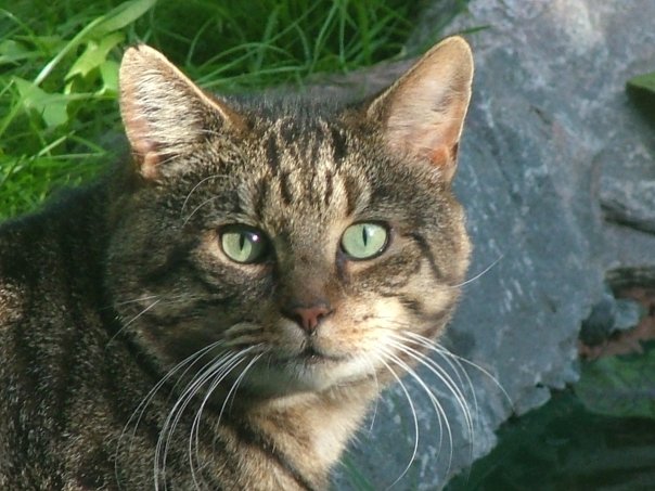 7EF26D43-D239-40E5-AE04-59CD4D274C51