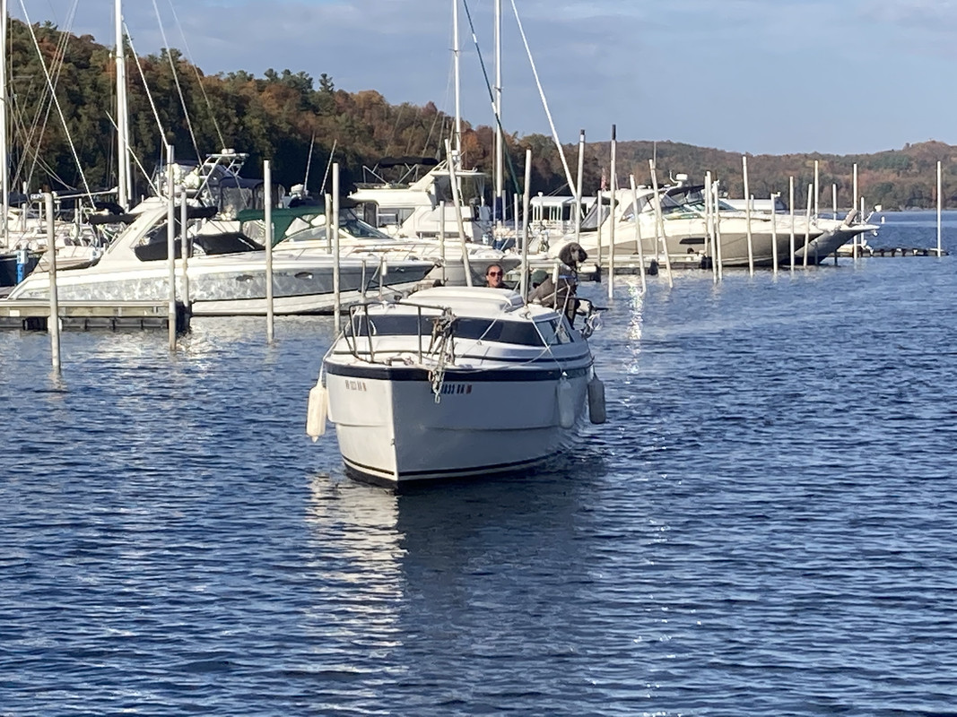 D9DB0B9A-F66E-404A-BE03-8625DD3B542F