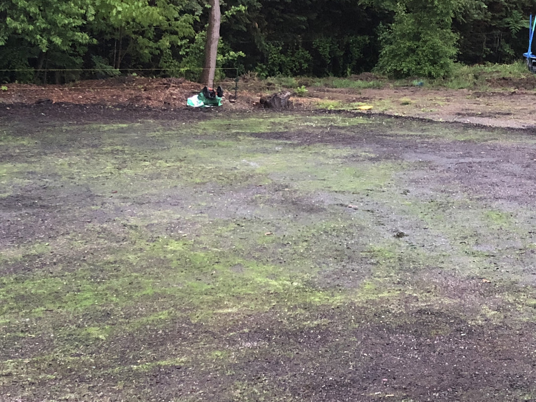 5BF1A0BD-1915-4232-A6F9-F0DE068B3081