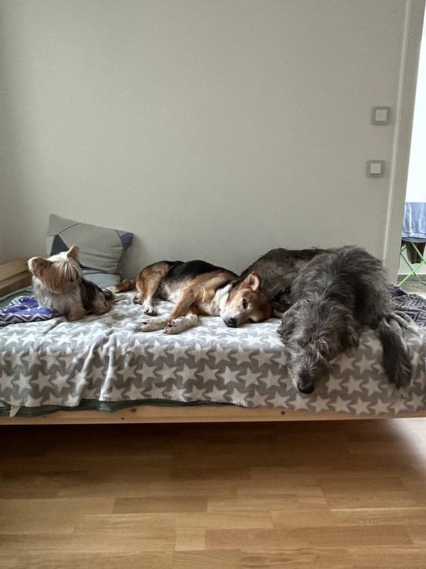 photo 2026 06 24 10 58 57