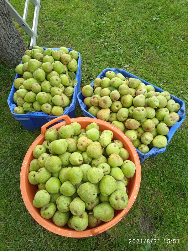 IMG_20210831_155119[1]