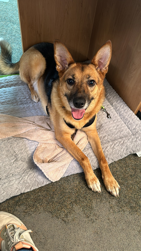 E3EAF825-CA30-4BE4-998D-F3E503CB33DE