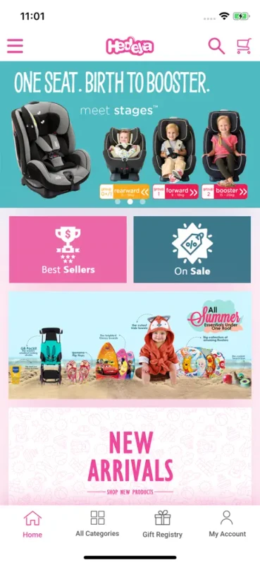 Project screenshot 1