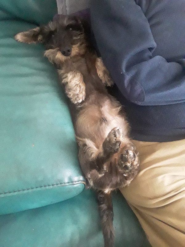 [Image: Resized-20241102-124229.jpg]