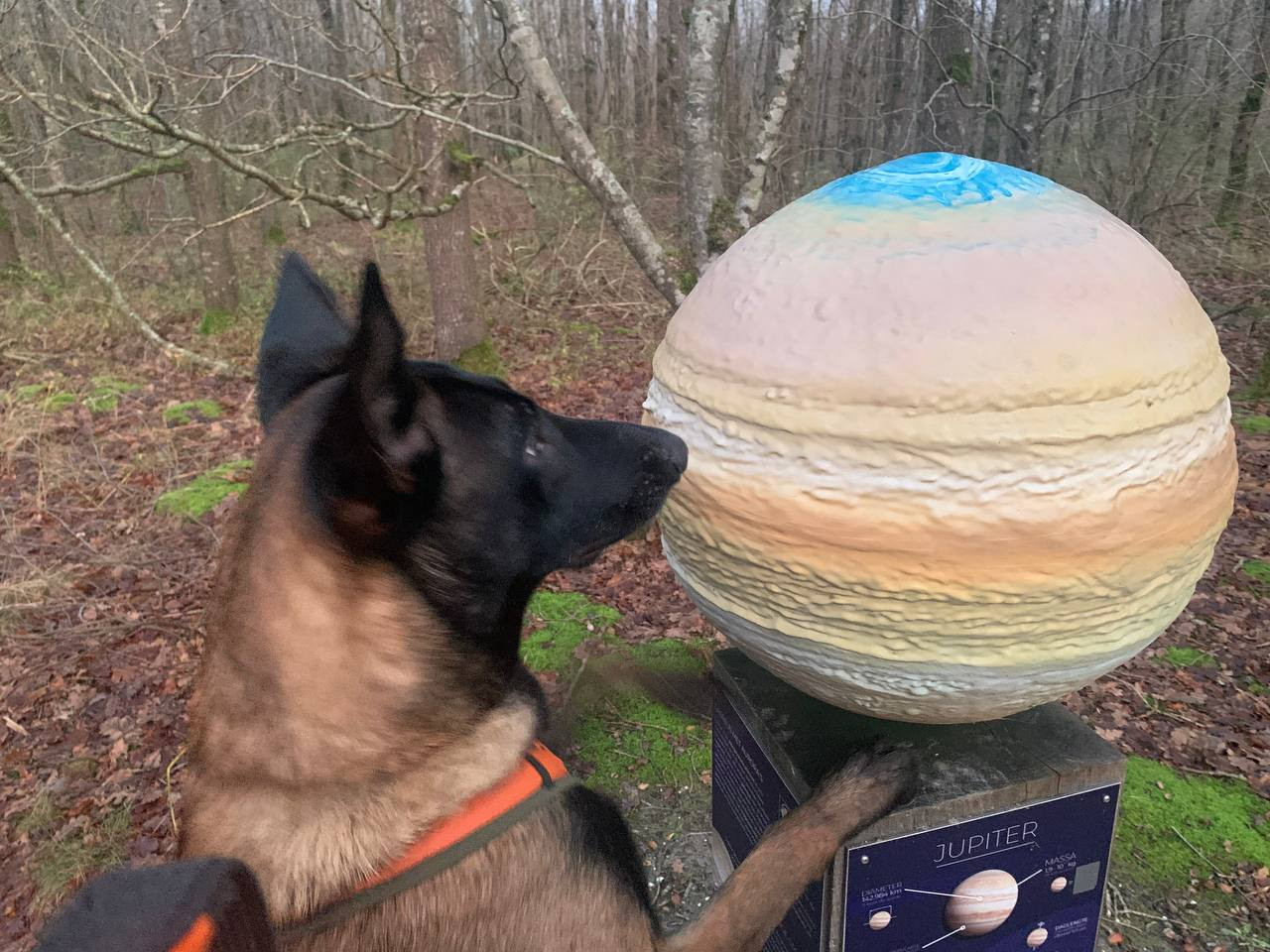 photo 2025 12 12 13 03 12