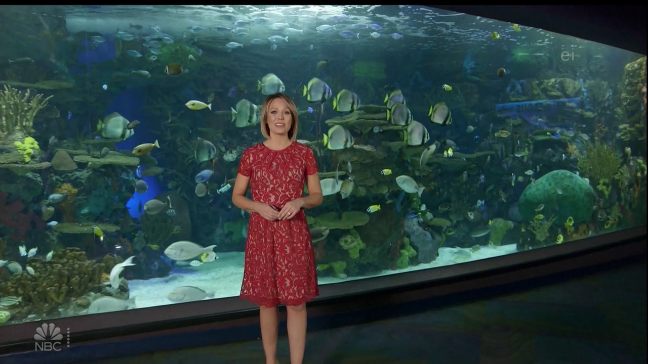 11.07 - 15.00.00 - Earth Odyssey With Dylan Dreyer. The world's smart....ts_snapshot_01.05.21.031