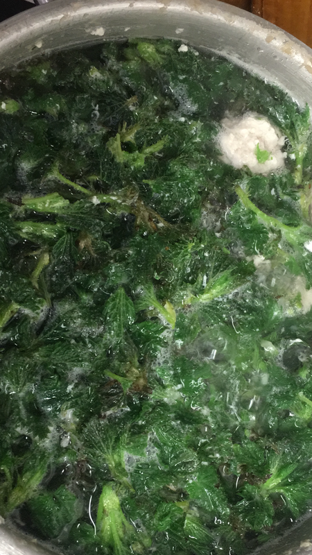 86746357-CCC5-42AB-8669-26E0C2F060B6