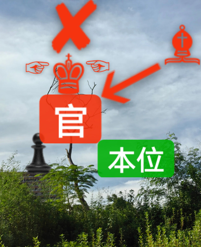 mmexport1770490030570