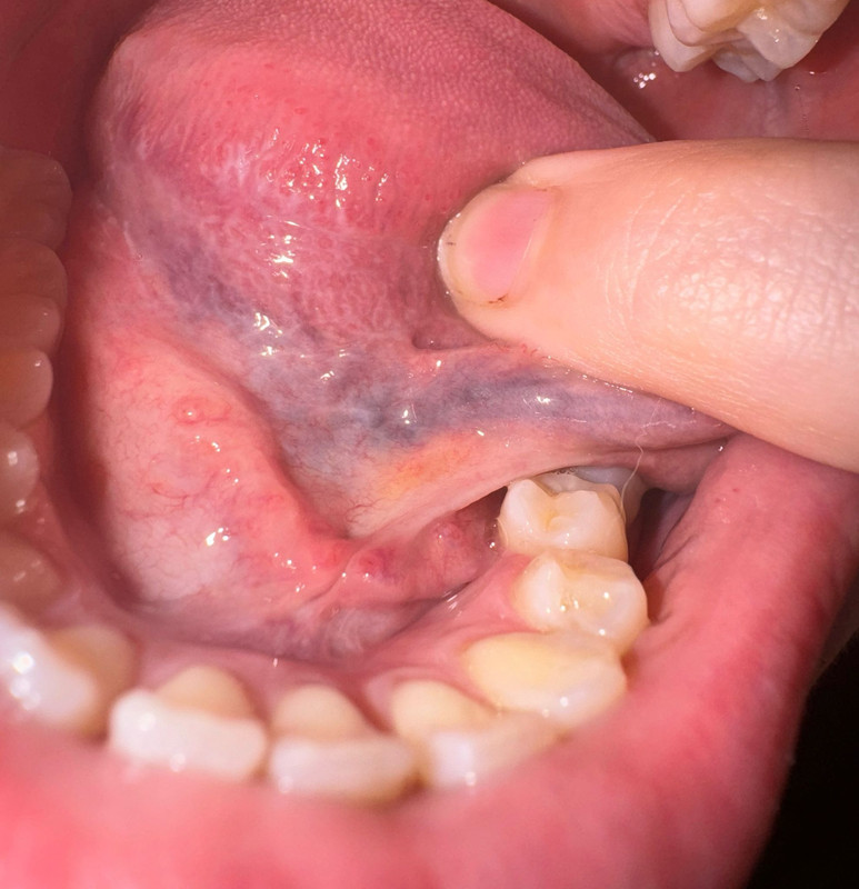 WhatsApp Image 2024-04-15 at 6.19.29 PM