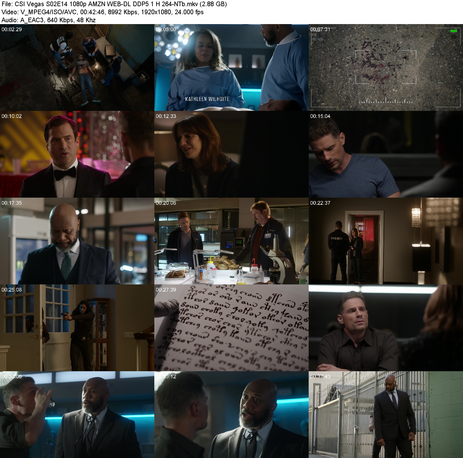 [Image: dlmxye21v10s.jpg]