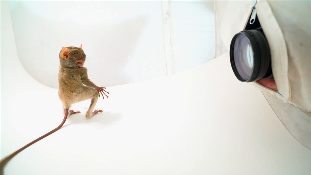 [Image: mdp8tfs6i8b1.png]