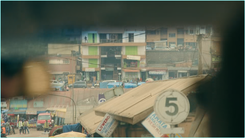 [Image: cns336flcc2y.png]