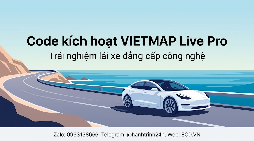 vietmap pro thay code