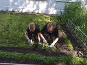 IMG_20240607_094320_1