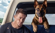 https://i.postimg.cc/JD2CTLFW/20730-Dog-Trailer-300x180.jpg