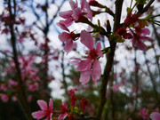 light-(7)