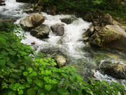 light-(7)