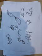IMG-20240126-110847901