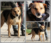 Be-Funky-collage-24.jpg&key=4f0e5299a3aa