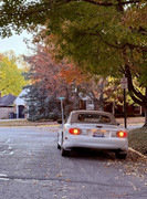 [Immagine: IMG-7730.jpg]