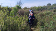 IMG-20251129-133221