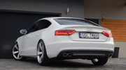DSCN4408.jpg