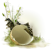 0-1c1a39-e68b83cb-orig