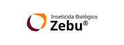Zebu
