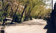 فیلمها و برنامه های تلویزیونی روی طاقچه ذهن کودکی - صفحة 16 Foto-by-59-02-HQ-1375