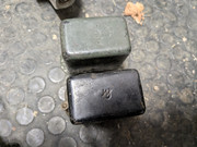 PXL-20241113-063500597-MP.jpg