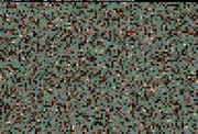 scrambled_kodim11.png