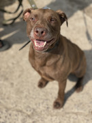 IMG_20230706_152118_297