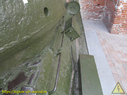 IMG-0491