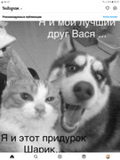 Screenshot-20230501-201041